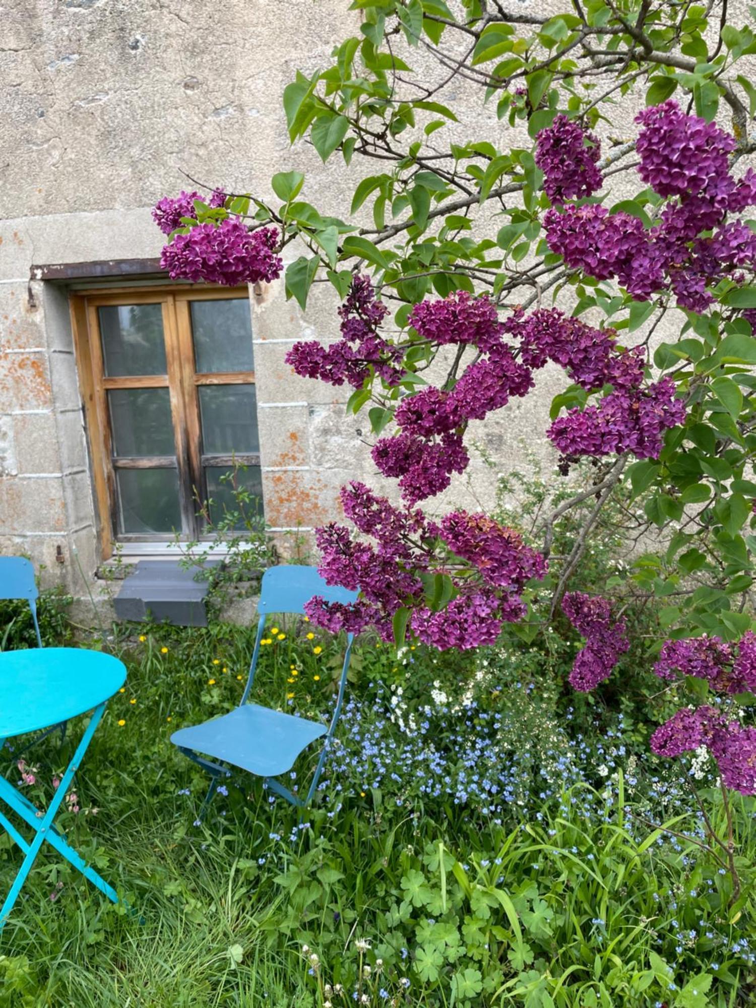 Bed and Breakfast Chez Fabrice Le Pertuis Exteriér fotografie